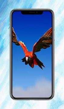 All Birds Wallpapers скриншот 4