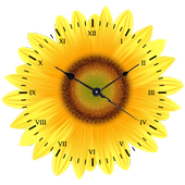 Sunflower Clock icon