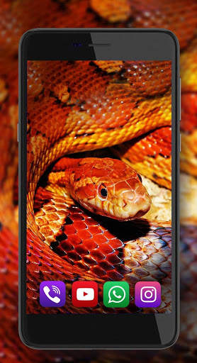 Snake Sounds Live Wallpaper screenshot 4