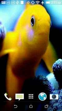 Fish Live Video Wallpaper screenshot 2