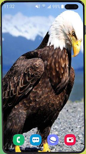 Eagle Wallpaper Best HD screenshot 16