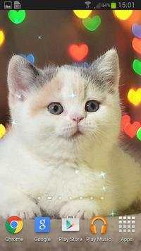 Super Lovely Cat - Free, Funny screenshot 4