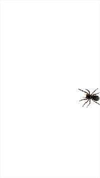 Spider screenshot 5