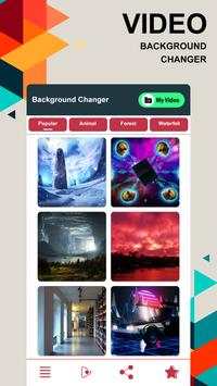 Video Background Changer screenshot 2