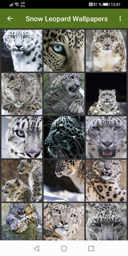 Snow Leopard Wallpapers screenshot 1