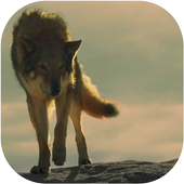 Alpha Movie 2018 Photo Frames أيقونة