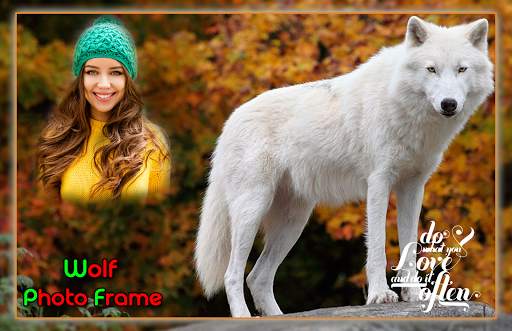 Wolf Photo Frames screenshot 1