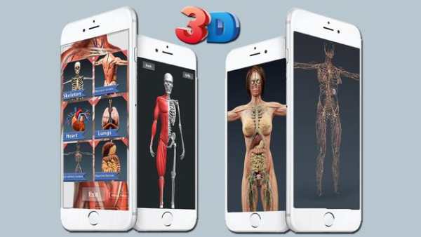 3D Human Anatomy - Human Organs, Bones & Skeleton скриншот 3