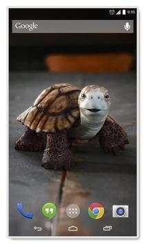 Talking Turtle Live Wallpaper screenshot 2