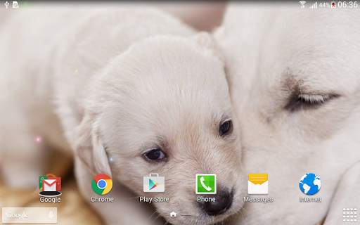 Cute Animals Live Wallpaper screenshot 8