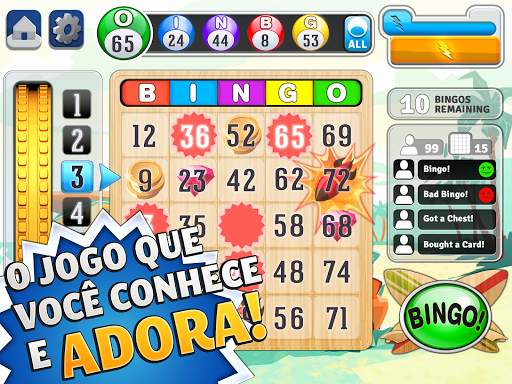 Bingo™ screenshot 2