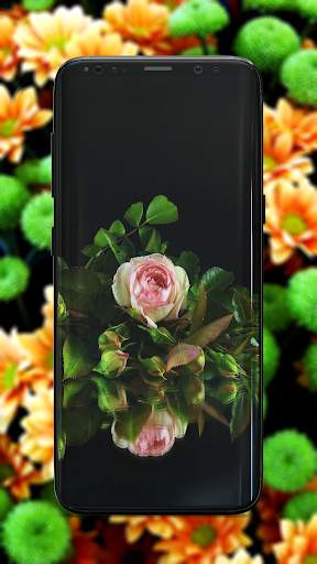 Flower Wallpaper screenshot 2