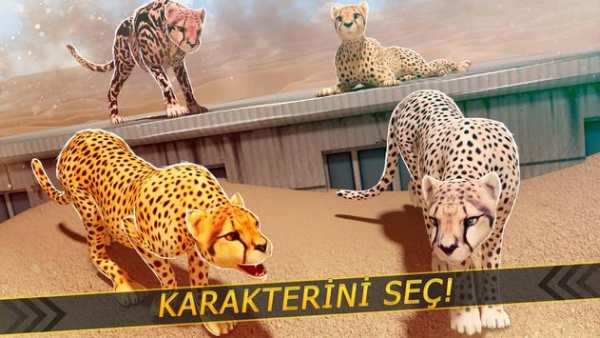 Leoparlar karşı Aslanlar - Vahşi Savan Yarış screenshot 9