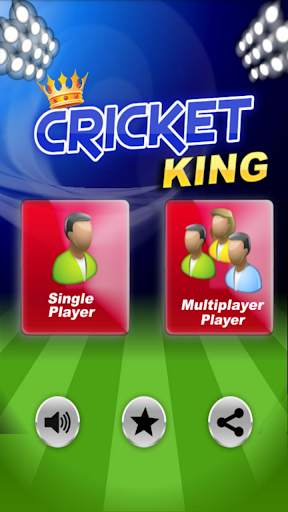 Cricket King screenshot 1