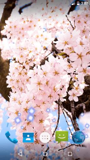 Sakura Live Wallpaper screenshot 1