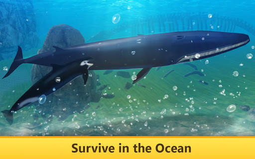 Ocean Whale Simulator Quest screenshot 2