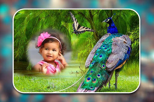 Peacock Photo Frames screenshot 1
