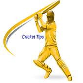 APL PREDICTION 5.3.0.1