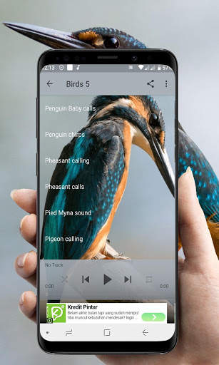 Bird Calls, Sounds, & Ringtones (Offline) скриншот 7