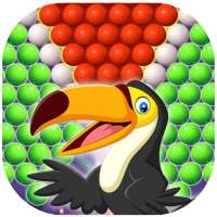 Bubble Bird Parrot