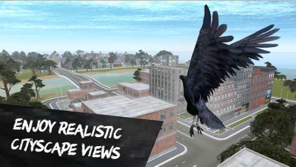 City Bird Crow Simulator 3D screenshot 4