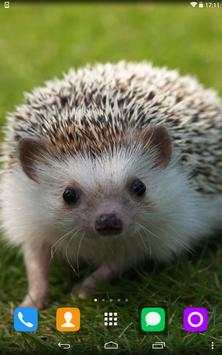 Hedgehog Live Wallpaper screenshot 1