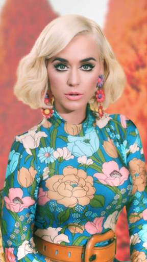 Selfie with Katy Perry - Katy Perry Wallpapers screenshot 6