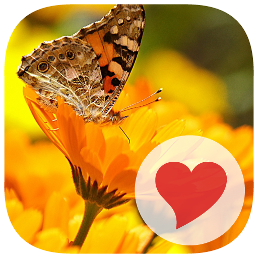 650 Foto icon