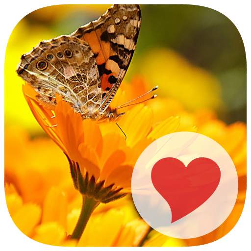 650 Photos 1.0.1
