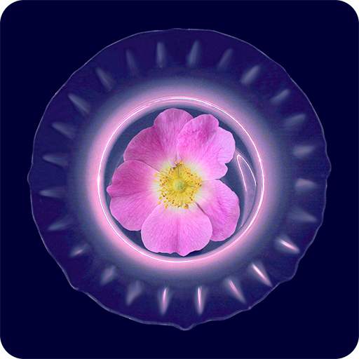 Beautiful Pictures 1.0