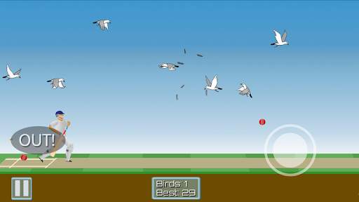 Cricket Mayhem: 2D Cricket screenshot 3