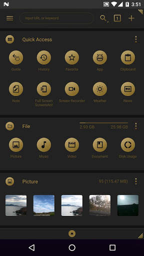 fooView Theme - Black Golden screenshot 1