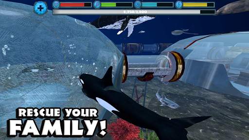 Orca Simulator screenshot 9