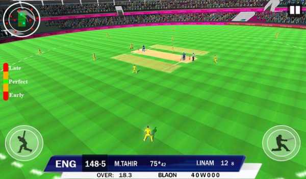 World Cricket Cup 2020 - Live Cricket Match Game screenshot 10