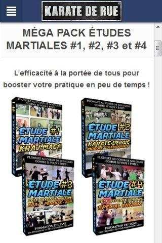 Karaté de Rue screenshot 2