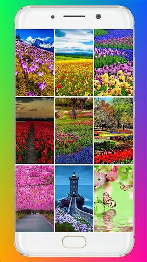 Spring Wallpaper HD скриншот 1