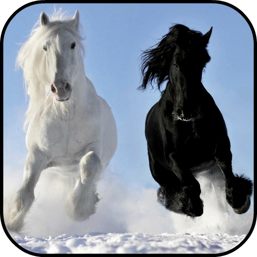 Horses Lock Screen 4K Wallpaper icon