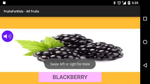 Fruits with name & picture screenshot 2