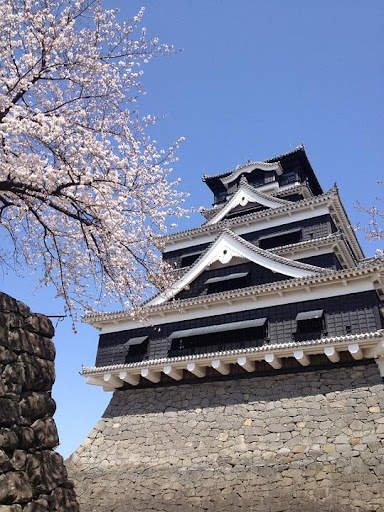 Japan Wallpaper Travel screenshot 4
