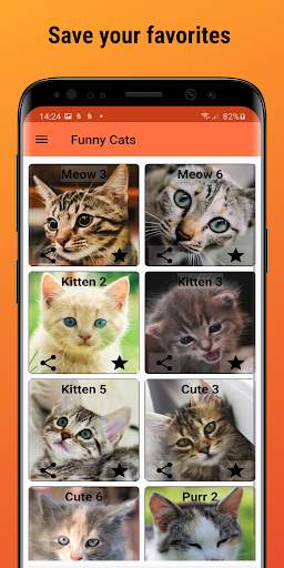 Funny Cats Cat sounds screenshot 3