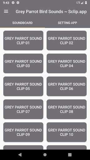 Grey Parrot Bird Sound Collections ~ Sclip.app screenshot 1