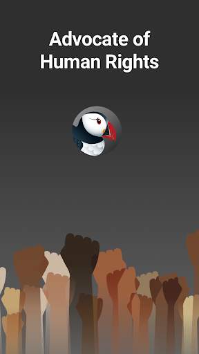 Puffin Incognito Browser screenshot 3