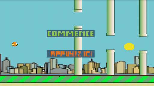 Jeu d' oiseau screenshot 3