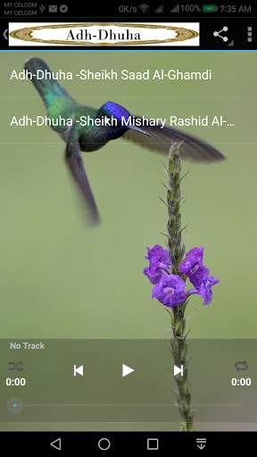 Adh-Dhuha 1 تصوير الشاشة
