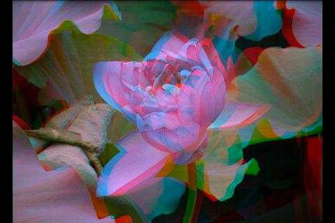 Stereoscope screenshot 4