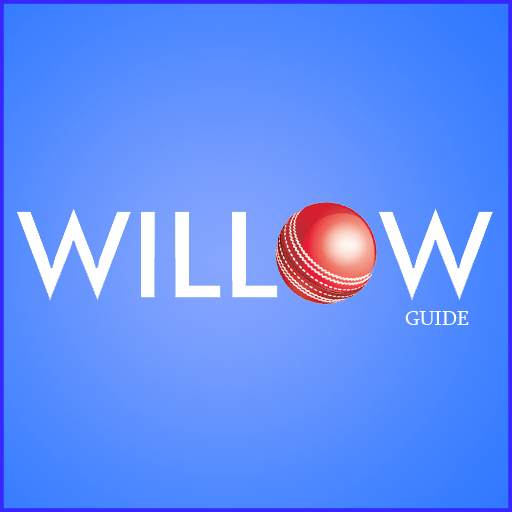 Willow - Cricket & T20s Guide 2021 1.3