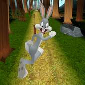 Looney Toons Jungle Dash 1.0