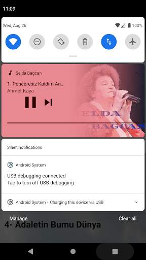 Selda Bagcan Şarkıları (offline) screenshot 1
