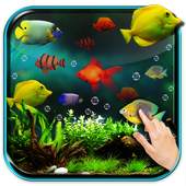 Aquarium Live Wallpaper 1.0.5