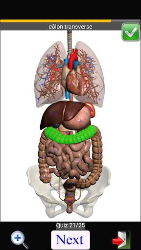 Anatomy Quiz screenshot 7